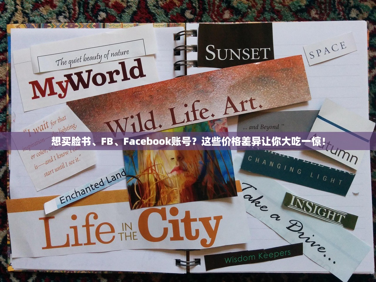 想买脸书、FB、Facebook账号?这些价格差异让你大吃一惊!