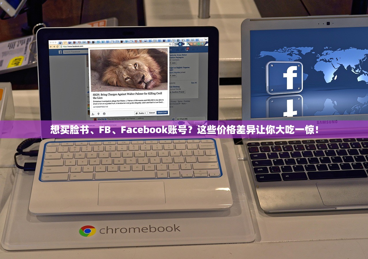 想买脸书、FB、Facebook账号?这些价格差异让你大吃一惊!